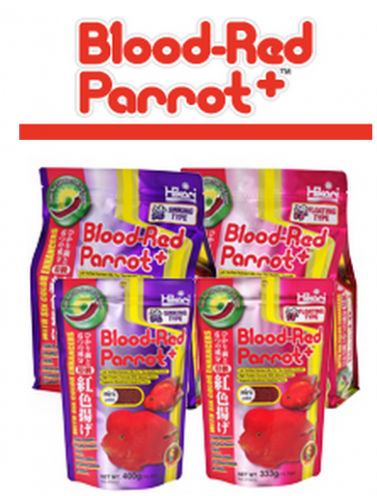 Blood Red Parrot Plus Food